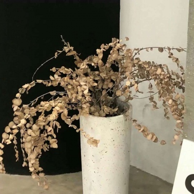 大悟福瑞交流群